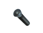 be-pavadinimo_1792502747-85823de3d7cc92dba2e18b707ac1490b.png