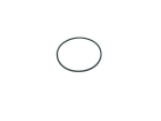 pvz_1716185008-841d16f129a9157e38965535afe7fcc8.png