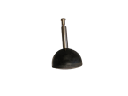 pvz_1734528681-fdf8fa210a03af087c81adf271c10bba.png