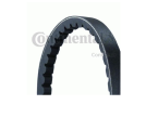 rolikas_1694524302-36070cfa1a2b06c517b71d0eefc12d9d.png